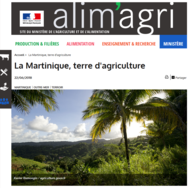 "La Martinique, terre d'agriculture" en une du site du Ministère de l'Agriculture 