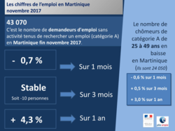 Les chiffres de l'emploi en Martinique - Novembre 2017