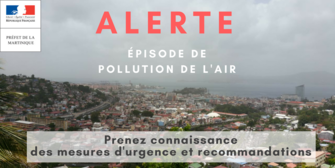 Episode de pollution de l'air  Niveau 2 : Procédure d'alerte activée le mercredi 8 août 2018 