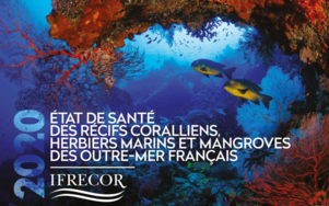 État de santé des récifs coralliens, herbiers sous marins et mangroves d’outre mer