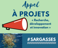 Appel à projets conjoint sur les sargasses : "Recherche, développement et innovation" 