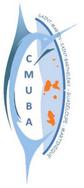 Consultation publique : Projet de documents stratégiques de bassin maritime des Antilles