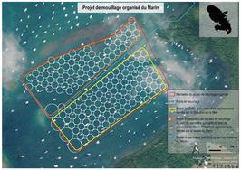  Consultation publique : Projet de création d’une zone de mouillage dans la baie du Marin